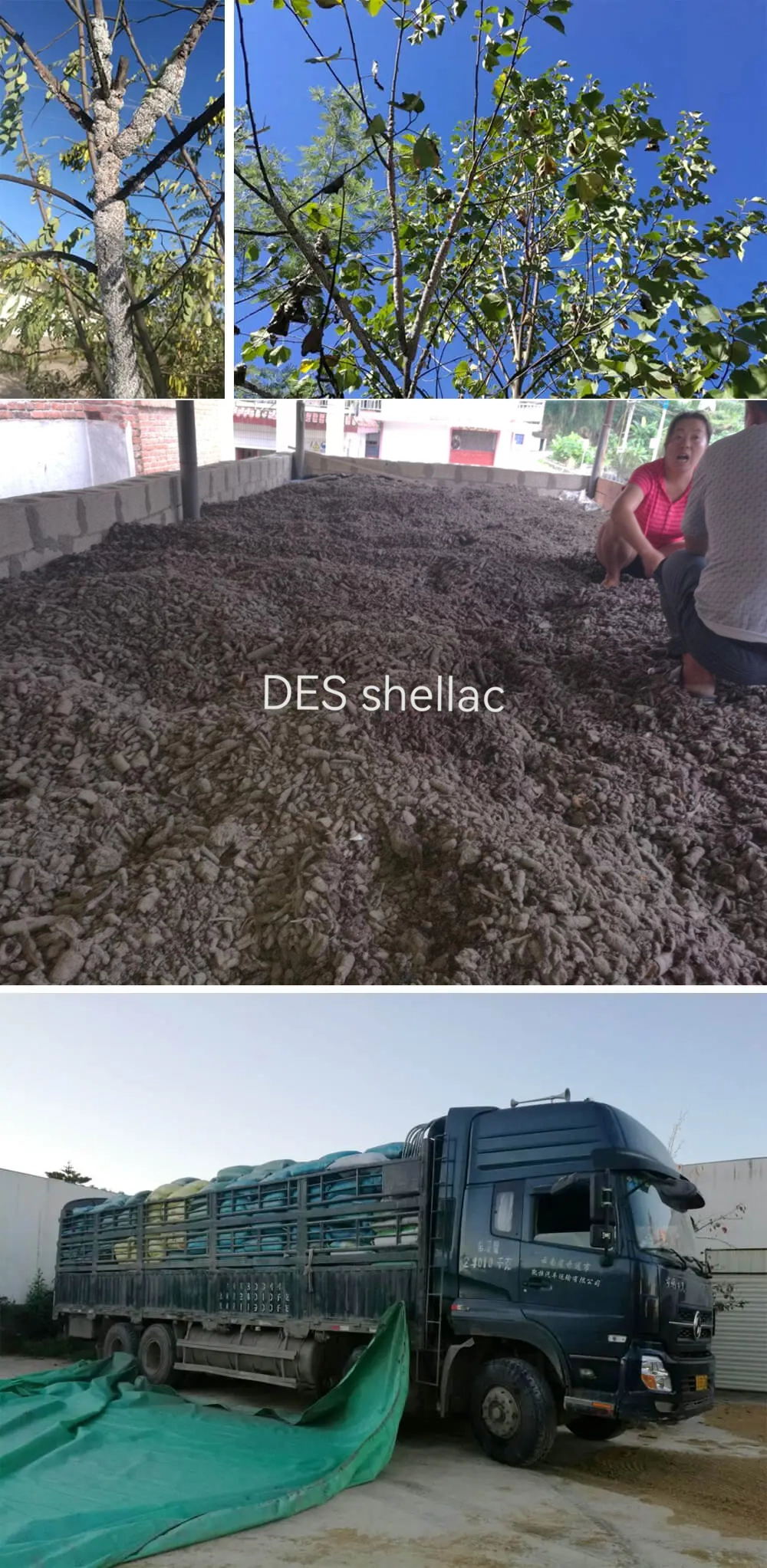 1751017143533281.jpg 33333333333333333333_看圖王.web.jpg