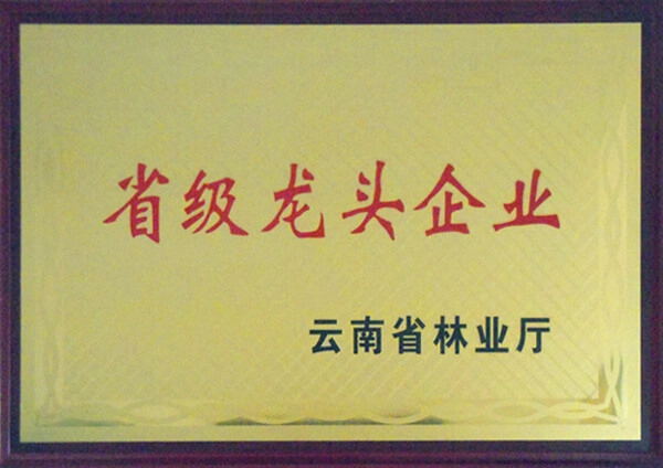 省級(jí)龍頭企業(yè)