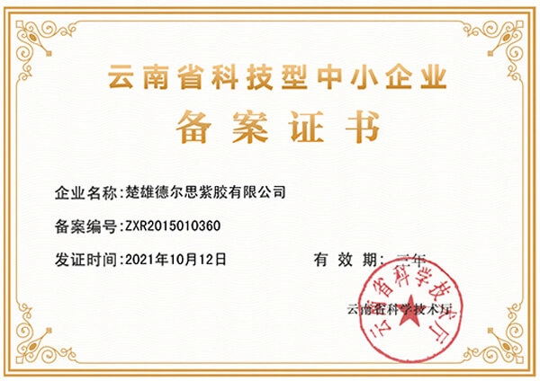 云南省科技型中小企業(yè)備案證書