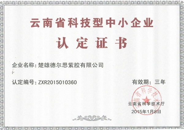 云南省科技型中小企業(yè)認(rèn)定證書
